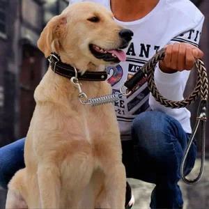 [콩심팥심]중형견 대형견 트위스트 가죽 목줄/리드줄 세트