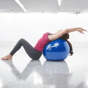 운동용 짐볼 필라테스 에어펌프 포함 볼