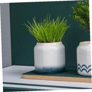 [셀러에이드]미니 도자기 화분 그라데이션 다육이 식물 소형 실내