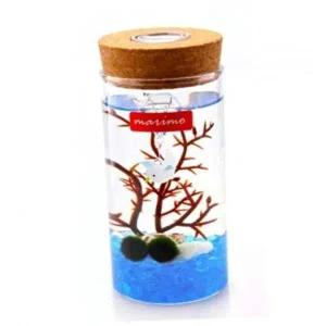 [골드스마일]마리모 수조용 유리병 수경식물 재배기 LED 조명 포함 키우기