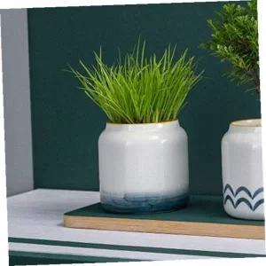 미니 도자기 화분 그라데이션 다육이 식물 소형 실내