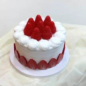 모형 케이크 가짜 케익 학교행사