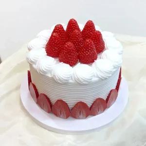 가짜 모형 케이크