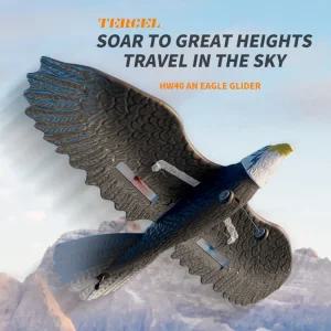 6축 새로운 장착된 비행 장난감성인용 무선 2CH 비행기 초보자 24G RC 독수리 준비 가 항공기 완료