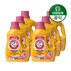 [유한양행]암앤해머 세탁세제 트로피컬 파라다이스 2.21L 6개