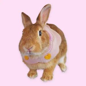 반려동물 턱받침 B 소 애견스카프 고양이스카프 토끼