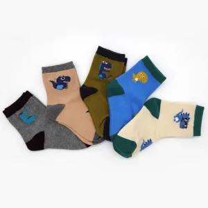 아동 남아 귀여운 공룡 배색 양말 5켤레 세트