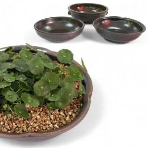 옹기 수반 미니 다용도 테라코타 식기 인테리어 소품