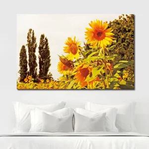 캔버스액자 오후의 해바라기 B타입 35x35cm