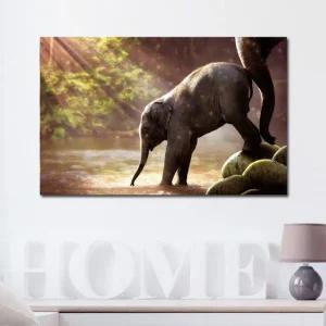 캔버스액자 자연 아기코끼리 A타입 25x25cm