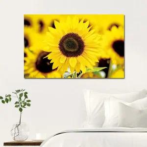 캔버스액자 해바라기 노란꽃 B타입 35x35cm