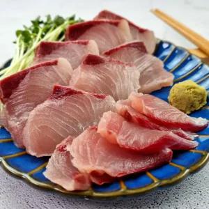 자연산 제철 방어 6kg이상 대방어 손질 회 400g 500g