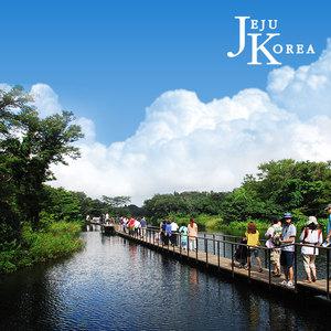 제주도패키지여행상품/버스투어 2박3일/노팁노옵션/항공/숙소/입장료/4식