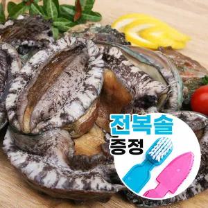 완도 선별바다 특대활전복 1kg (8-9미)선물포장