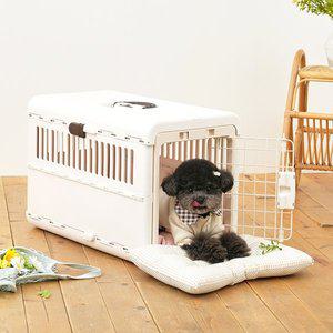 [페스텝] 켄넬방석 파스텔 빼꼼이 강아지방석 고양이 애견 쿠션