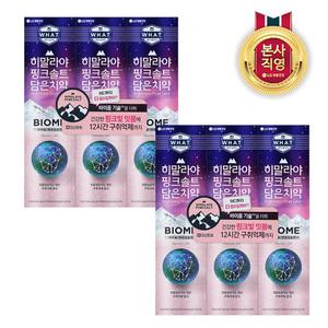 히말라야핑크솔트 바이옴 튜브치약 100g x 6개