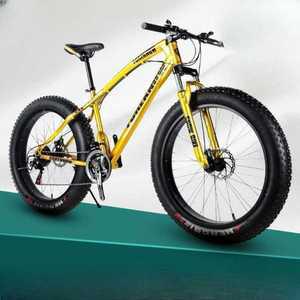 광폭타이어 펫바이크 바퀴큰자전거 산악용 광폭 화이트