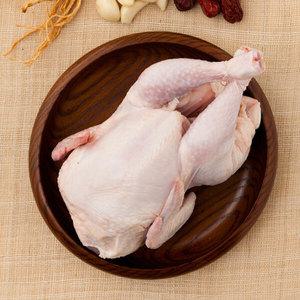 [작심밀도]국내산 냉장 삼계닭 550g x 2마리