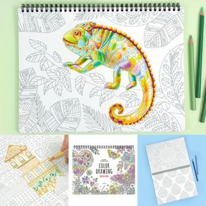 스프링 컬러드로잉북 (중급) 색칠놀이 그림 일러스트 도안 스케치북 컬러링책 어른용 취미