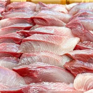 농가살리기 주문진 자연산 소방어회 필렛 500g 내외