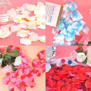 [IXHIU8ML_4B]파티 소품 기념일 이벤트 생일 꽃잎 144개