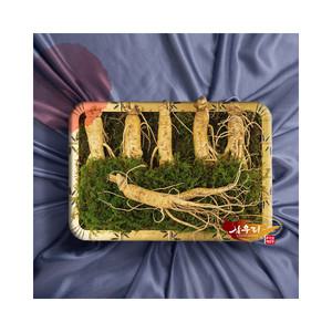 [인삼] 삼우리 6년근 풍기 수삼 500g / 6-7뿌리