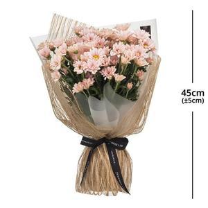 제이스플라워랩 소국 꽃다발 635603 코스트코 마켓송지