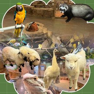 [인천] 실내 동물원 쥬벅스/인천동물원/가볼만한곳/핫플/아이랑가볼만한곳/아이와함께/데이트/테마파크