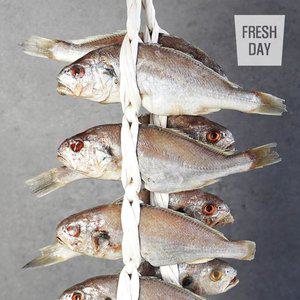 [프레시데이] 국내산 백조기 영광 법성포 백굴비 고급3호 10미