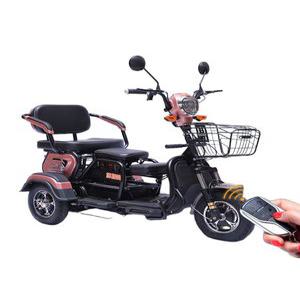 소형 전동 삼륜차 노인용 남녀공용 이동수단