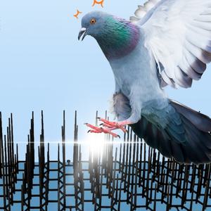 비둘기퇴치고급형 버드스트라이크 비둘기퇴치약 까치퇴치법