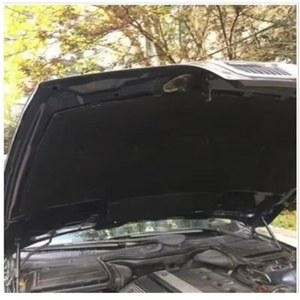 웨더스트립후드 자동차 후드 엔진 방음 코튼 패드 단열 매트 1993 2003 BMW E39 sf