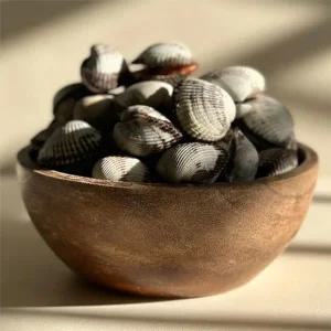 국내산 새꼬막 2kg 소