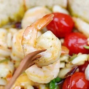 TC VB 칵테일새우 감바스새우 900g 프리미엄 특대사이즈 (WFJ9616)