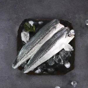 [친환경팔도][제주직송] 제주 삼치살 1kg