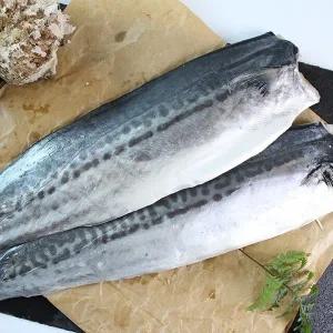 [친환경팔도][제주직송] 제주 삼치살 3kg