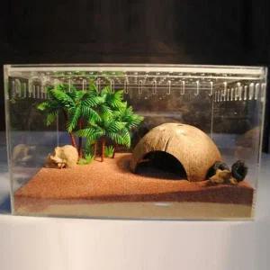 코코넛 은신처 구피 새우 가재 물고기 키우기 은신처