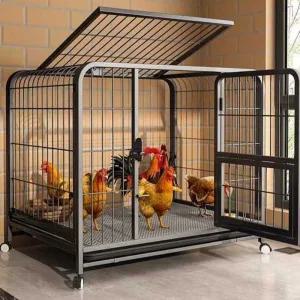 대형견 사육 오리 닭 케이지 닭장 철장 강아지 동물