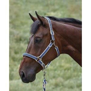 도버 새들리 승마 패딩 스트라이프 브레이크어웨이 홀터 리드 - 헌터 말-F/S