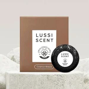 비르몽 아르노 차량용 방향제 리필 카트리지 아쿠아디파르마 호환 디퓨저