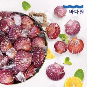 [바다원] 산지직송 국내산 제철 홍가리비 5kg (약 100-110미)