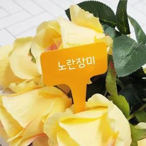 [콩심팥심]식물 이름 카드 컬러 태그 라벨 정원 표시판 식별 이름표