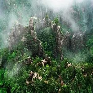 [ MD추천 상품 ]황산/항주 4일 노쇼핑 산위호텔숙박[4성]#일몰-일출감상#태평-운곡코스#서해대협곡#서호#정감촌