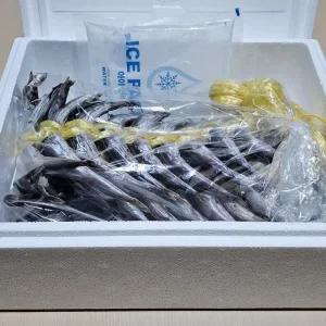 신선해푸드 고성 아야진 2025년 제철 햇 양미리 꾸덕한 해풍 반건조(냉동) 1두름 (20미) 동해 해풍으로 꾸덕하게 말린 겨울철 별미 국산 양미리