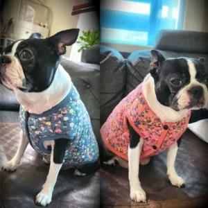 애견 꽃무늬 누빔 조끼 할매 김장 2컬러 애견김장조끼 실내복