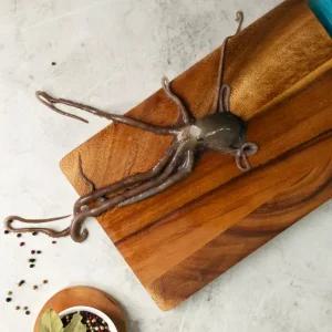 셀링피쉬 당일조업 낙지 목포 무안 신안 전남 세발 중소 중사이즈 산낙지 산지직송