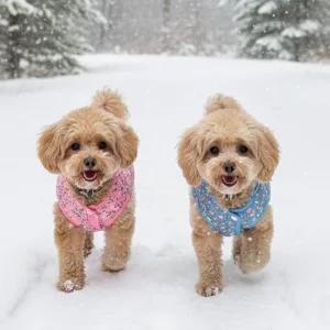 강아지 커플룩 김장 누빔조끼 할매 조끼 애견패딩 소형 중형 대형견