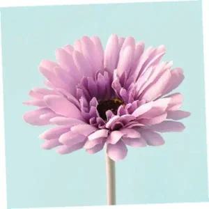 [셀러에이드]거베라 조화 화분 장식품 라이트퍼플 실내 인테리어 장식용 조화꽃