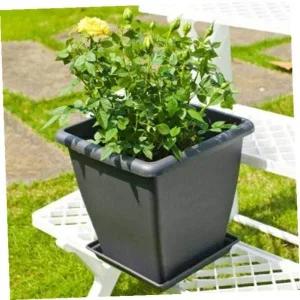 [골드스마일]중형 화분 가드닝 플라스틱 화분과 받침대 조합 중대형 실내 정원용