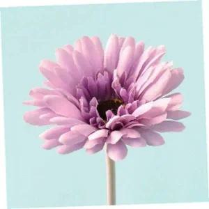 [골드스마일]거베라 조화 화분 장식품 라이트퍼플 실내 인테리어 장식용 조화꽃